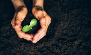 Environmental Responsibility